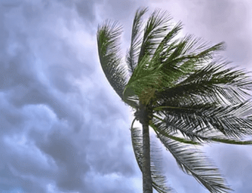 Necessary Products For Every Floridian