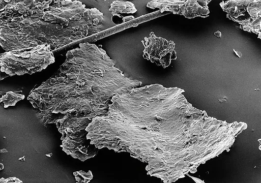 Microscopic close-up of flat, textured particles and a fiber on a smooth surface, captured in high contrast black and white, emphasizing detailed surface structures.